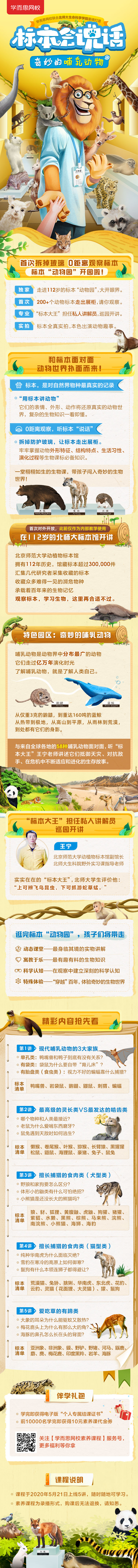 标本会说话-奇妙的哺乳动物-终.jpg